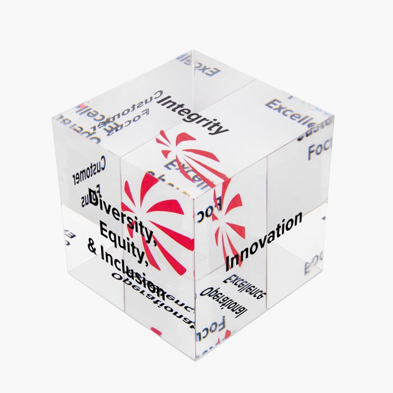 Custom Lucite Cube Embedment - Image 3