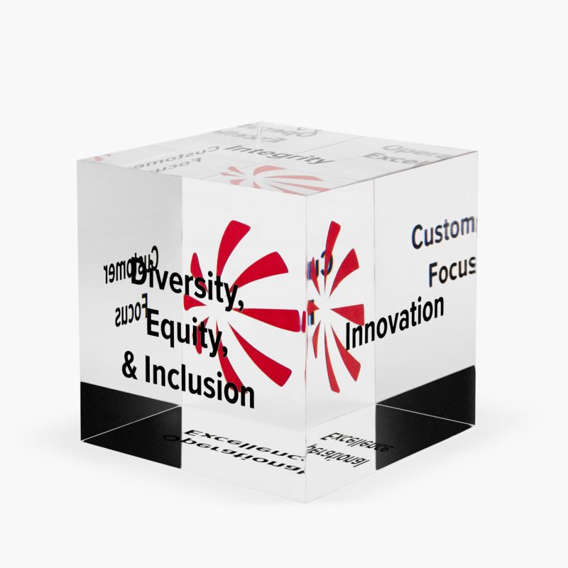 Custom Lucite Cube Embedment - Image 4