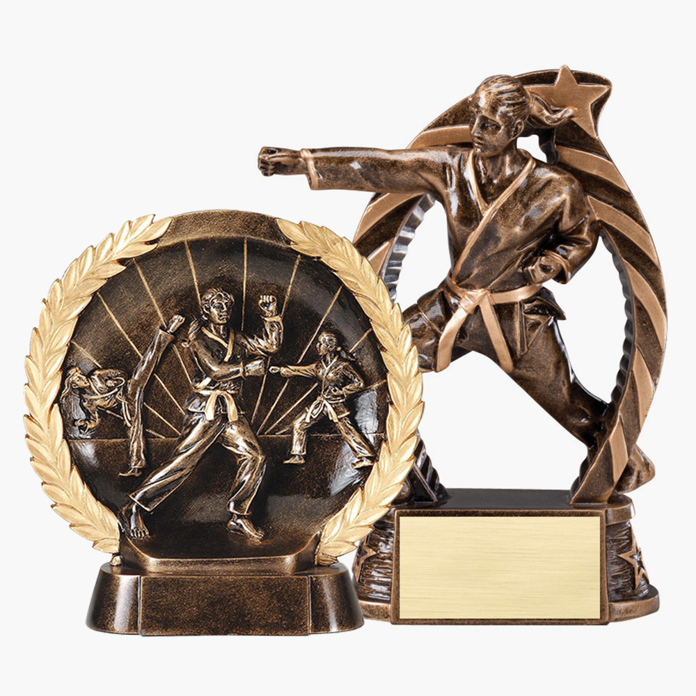 Martial Arts Trophies