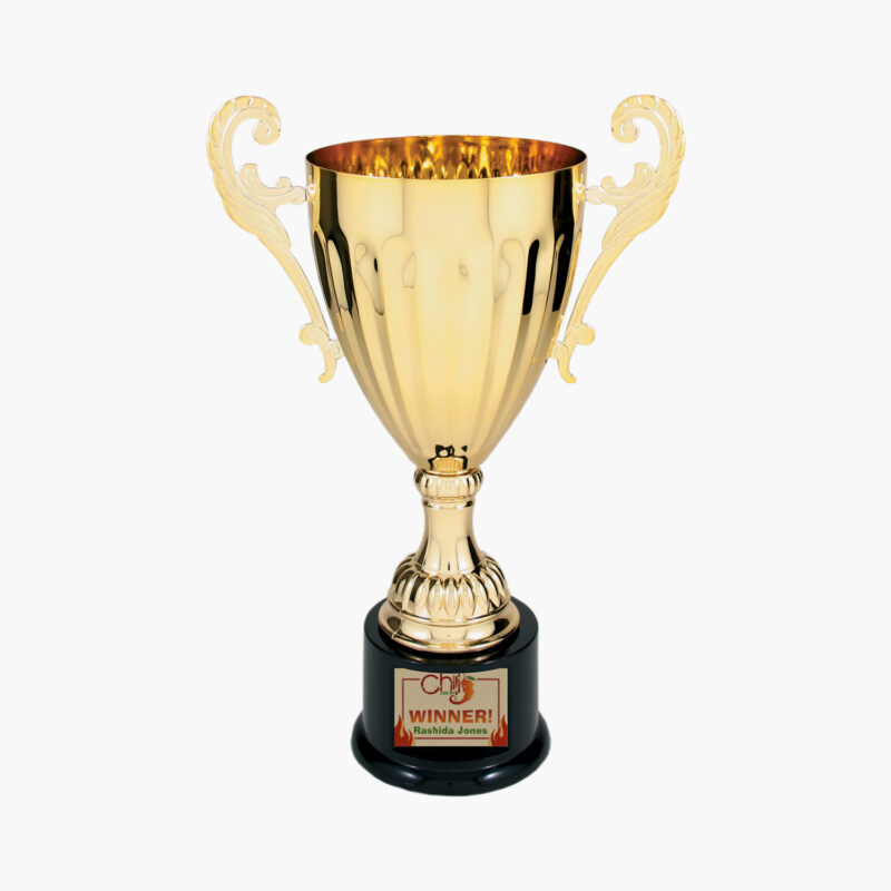 Custom Metal Challenger Trophy Cup