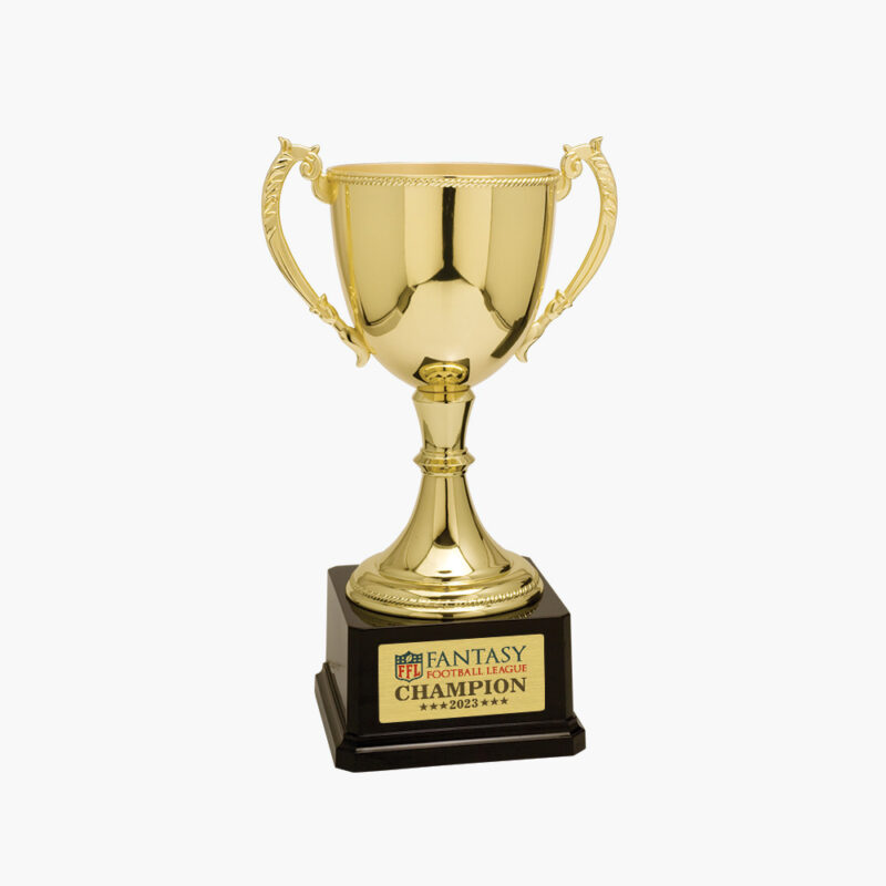 Custom Classic Metal Trophy Cup