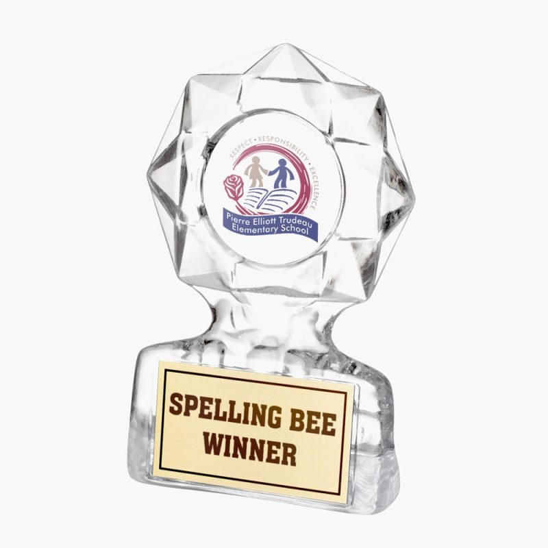 Custom Acrylic Gemstone Standup Award