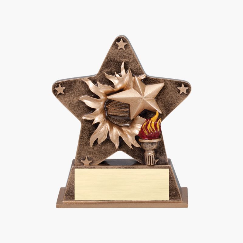 Custom Resin Starburst Award
