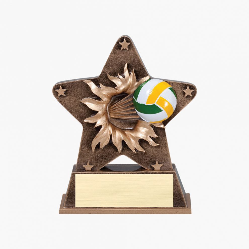 Resin Starburst Volleyball Award Crystal Images, Inc.