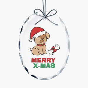 Crystal Faceted Oval Ornament